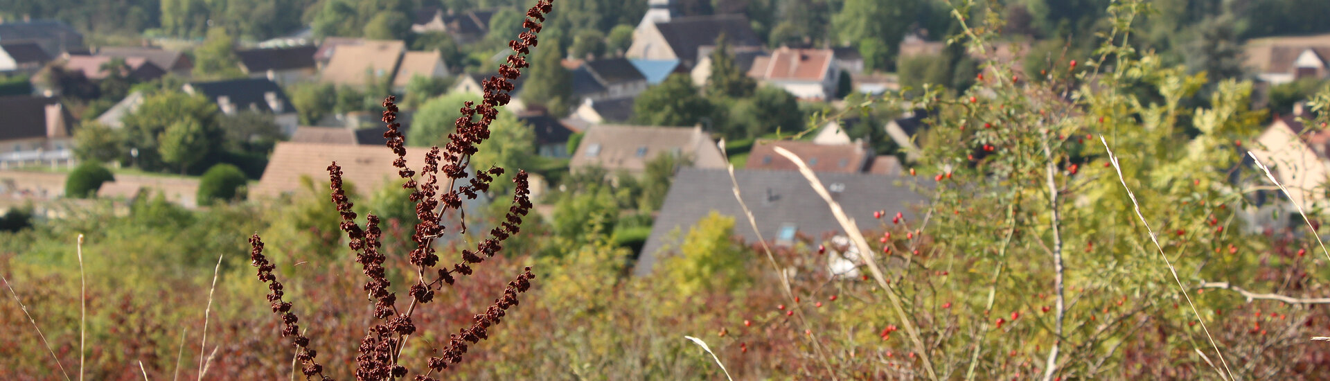 Présentation de Charpont